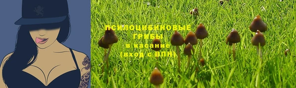 мескалин Володарск