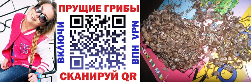 Галлюциногенные грибы мицелий  blacksprut зеркало  Вихоревка  цена наркотик 