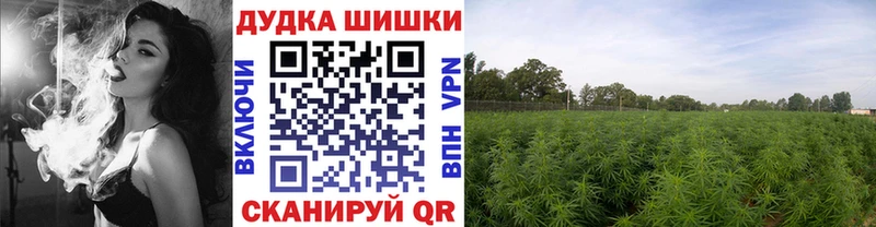 Бошки марихуана AK-47  Вихоревка 